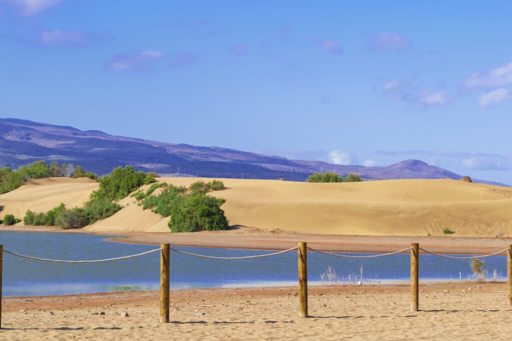Maspalomas: Drohnen-Kontrollen in den Dünen verschärft Gran Canaria: Drohnen überwachen die Dünen von Maspalomas