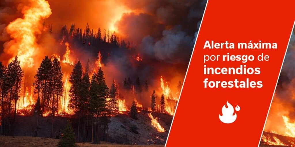 Kanaren lösen Hitze und Waldbrand-Alarm aus Kanaren lösen Hitze und Waldbrand-Alarm aus