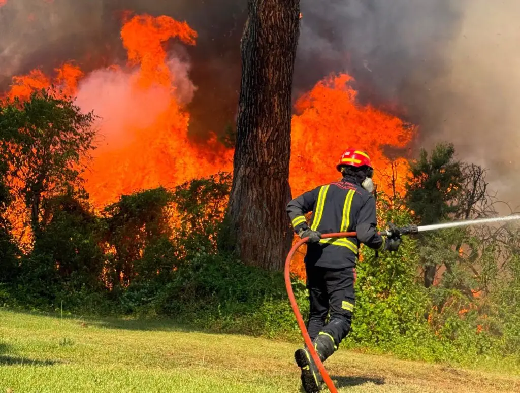 Spaniens schlimmste Brandkatastrophe aller Zeiten Ein Feuerwehrmann bekämpft mit einem Löschschlauch meterhohe Flammen eines massiven Waldbrands.